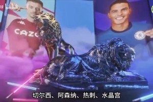 圣西罗草坪已全部翻新！米兰德比或迎来雪战！